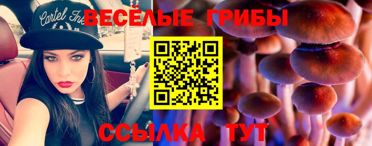 Ирбит  Псилоцибиновые грибы Psilocybe  Вход с VPN  Галлюциногенные грибы ЛСД 